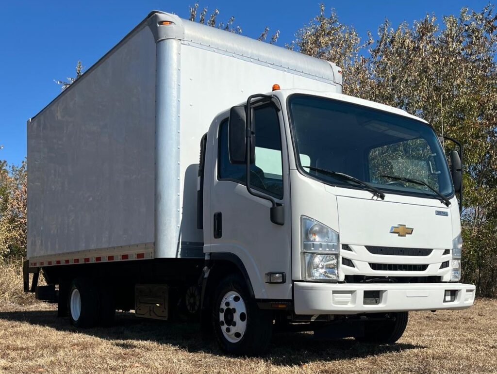 PHOTO 2026 02 09 15 24 29 4